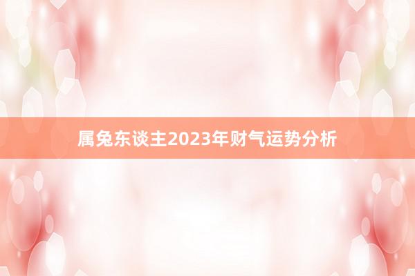 属兔东谈主2023年财气运势分析