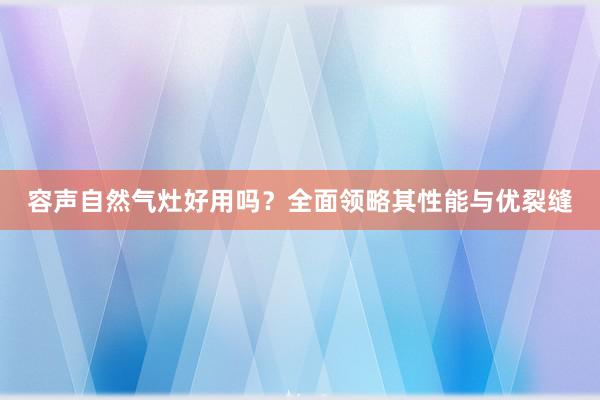 容声自然气灶好用吗？全面领略其性能与优裂缝
